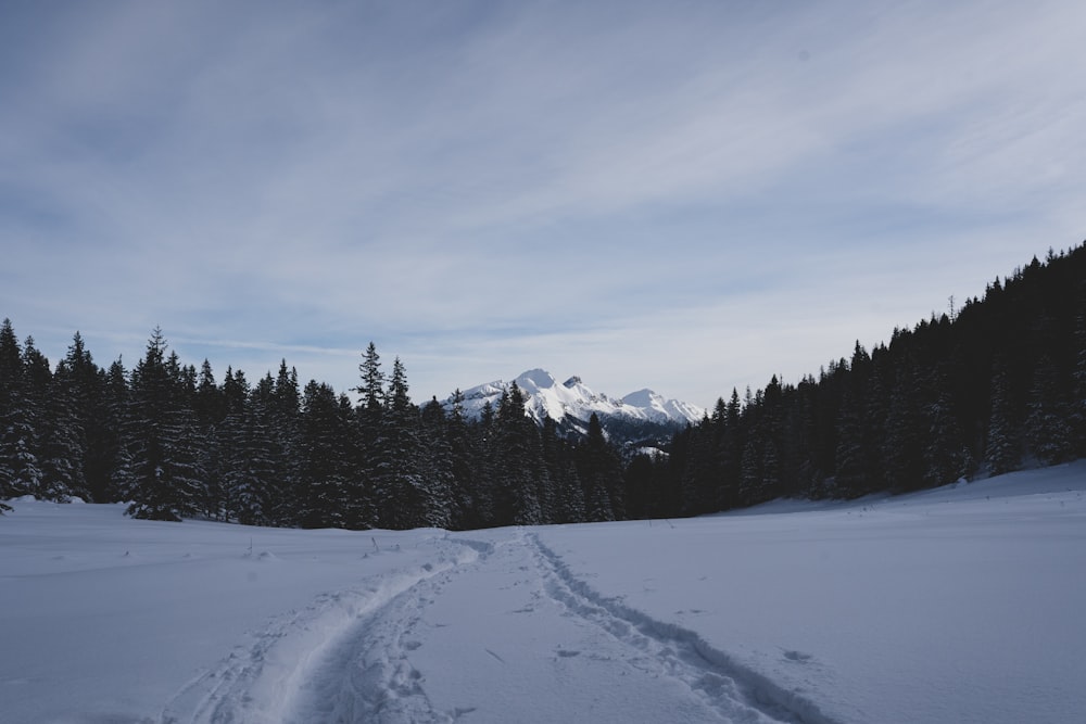 a trail in the snow with a mountain in the background