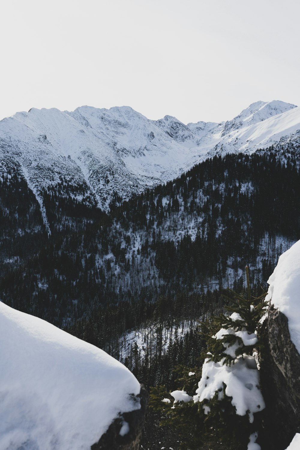 Una persona parada en una montaña cubierta de nieve
