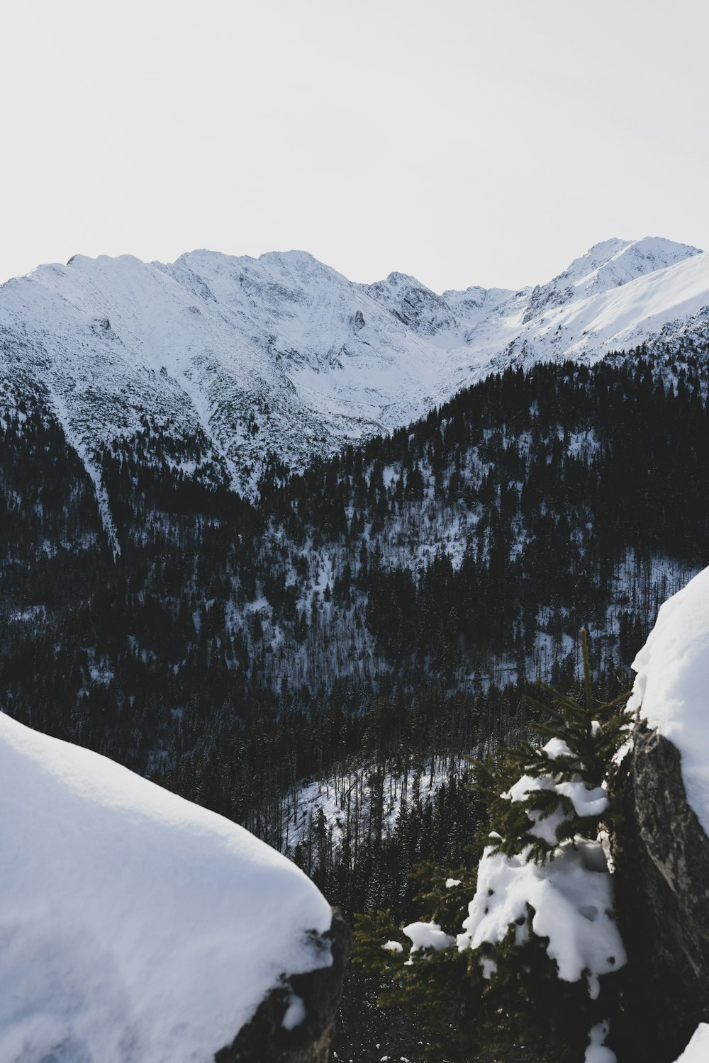 a person standing on a snow covered mountain