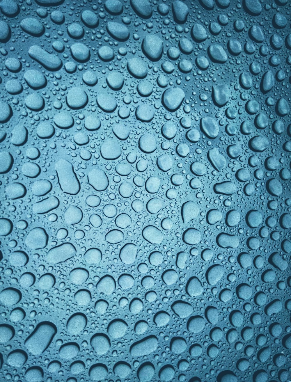 a close up of water droplets on a surface