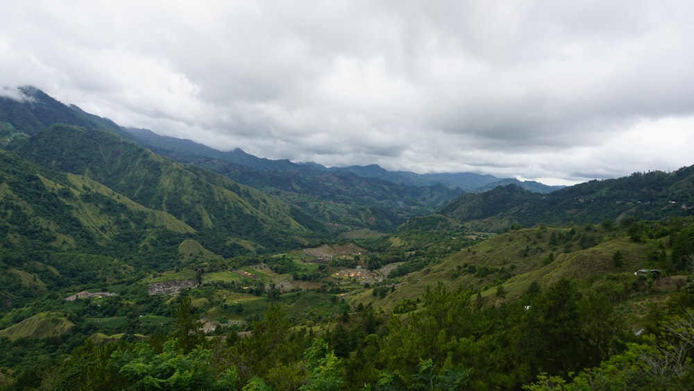 a scenic view of a valley with mountains in the background