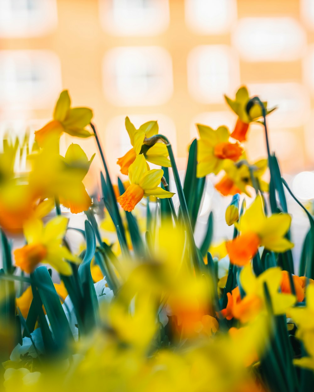 a bunch of yellow and orange flowers in a vase