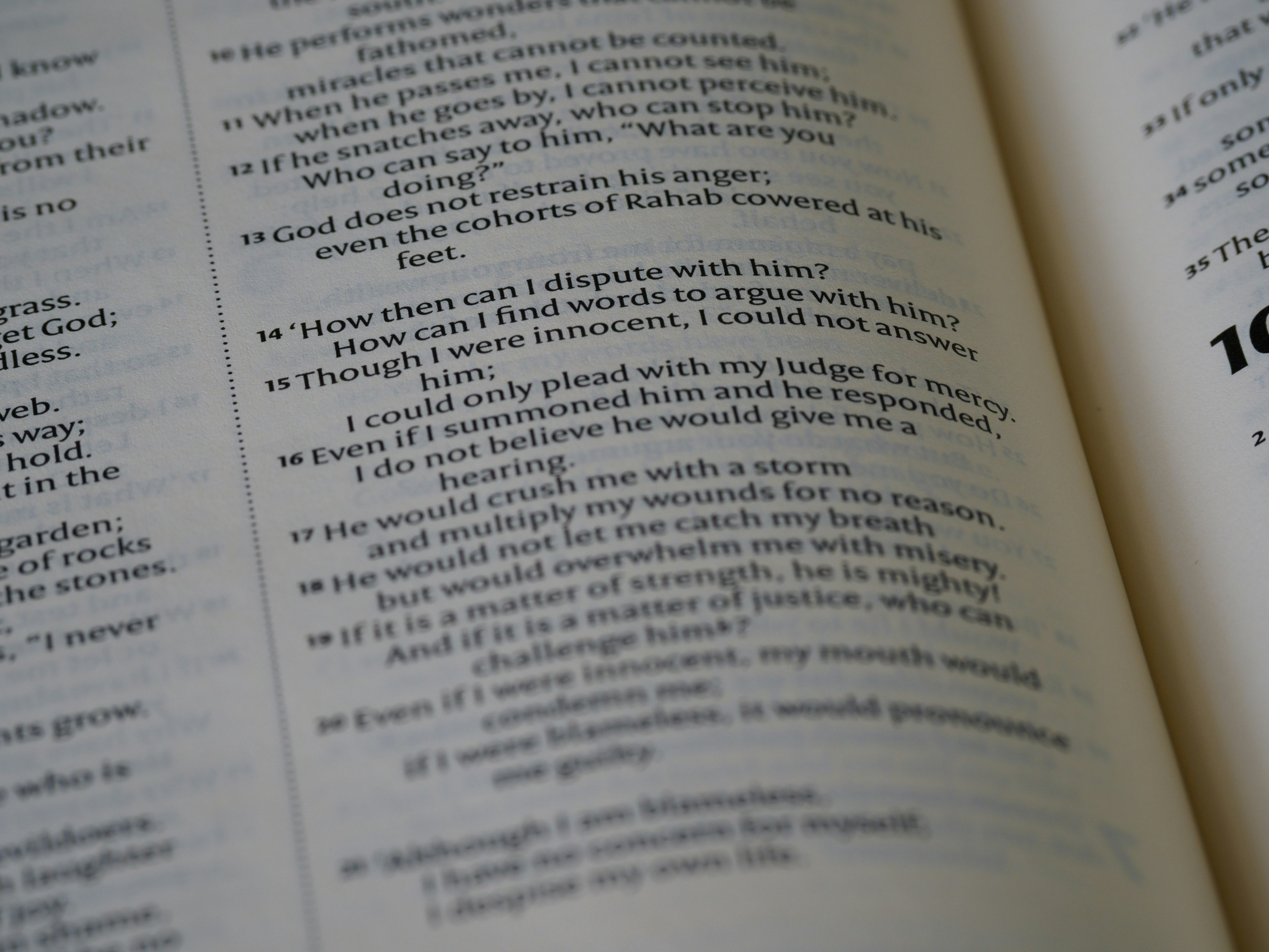 Photo by brett_jordan