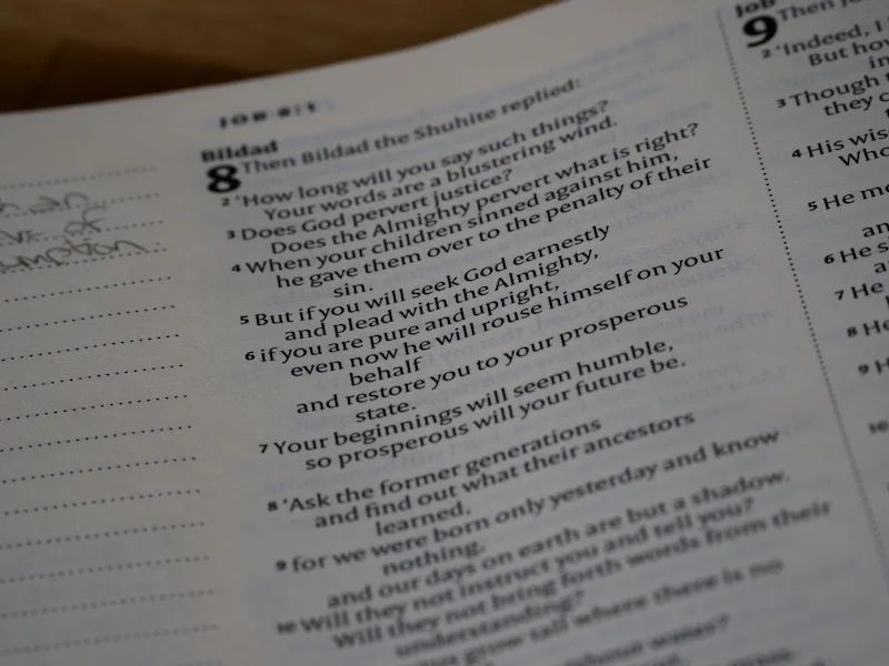 Allergy Risk Assessment Form