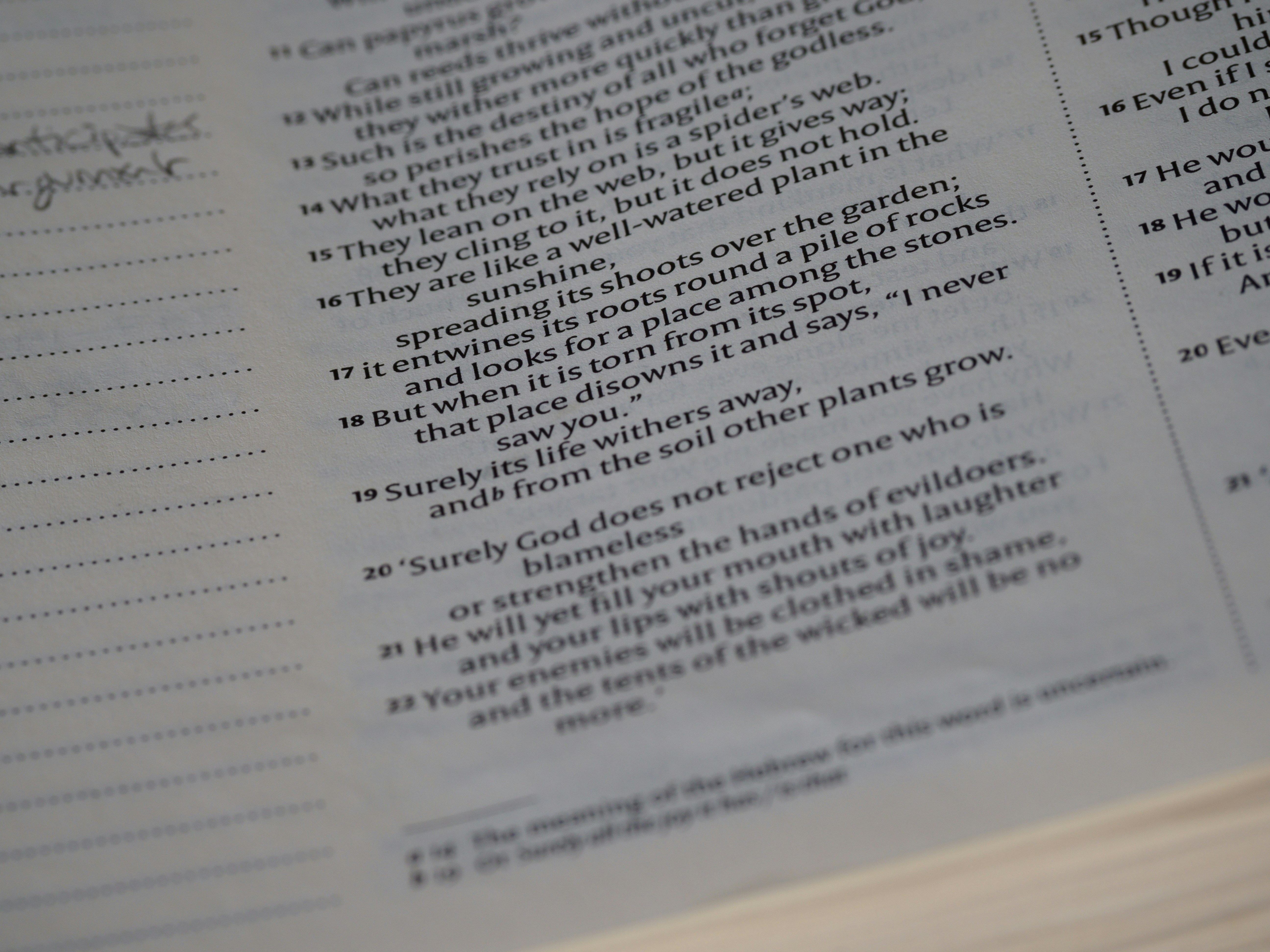 Photo by brett_jordan