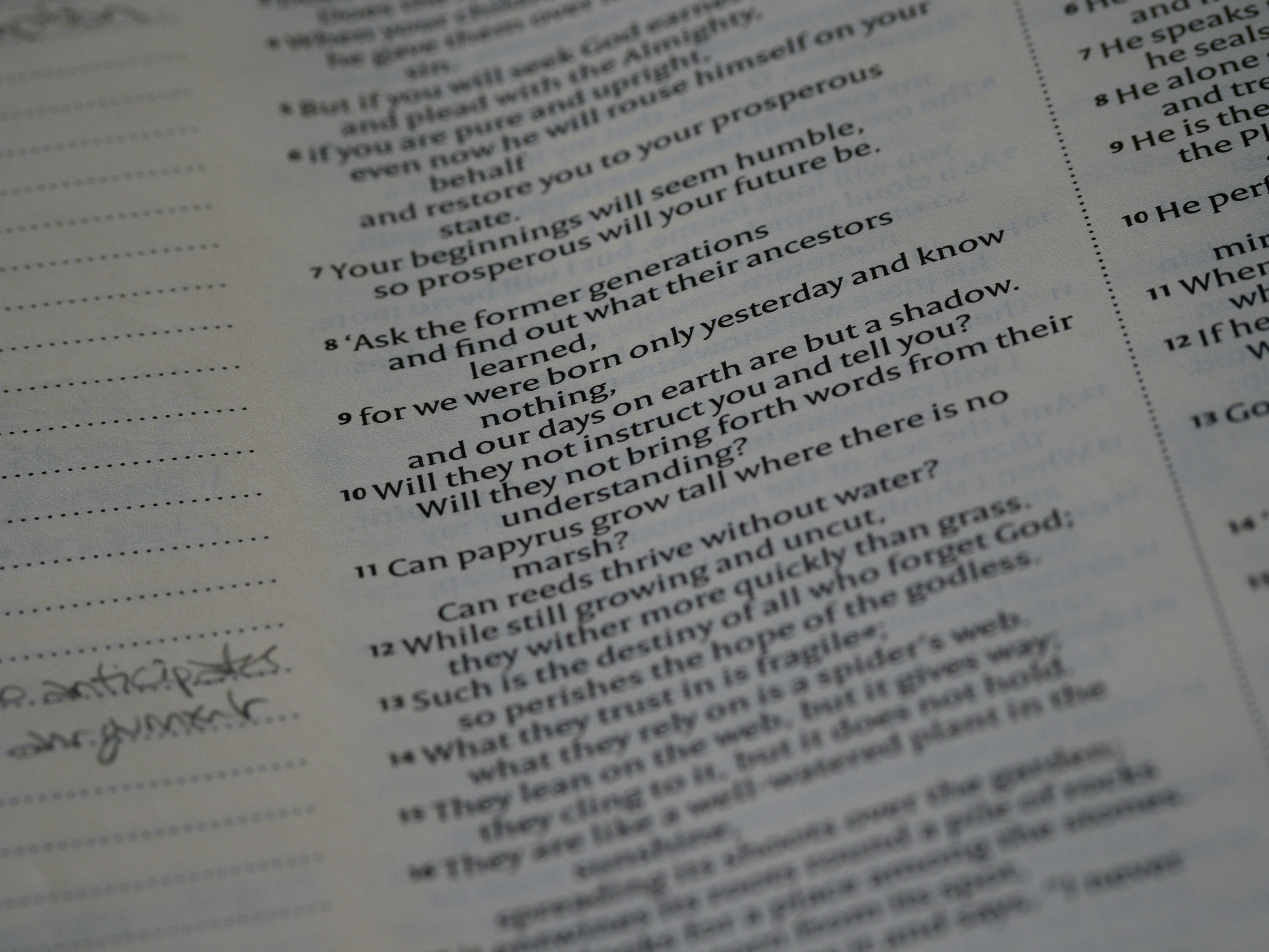 Photo by brett_jordan