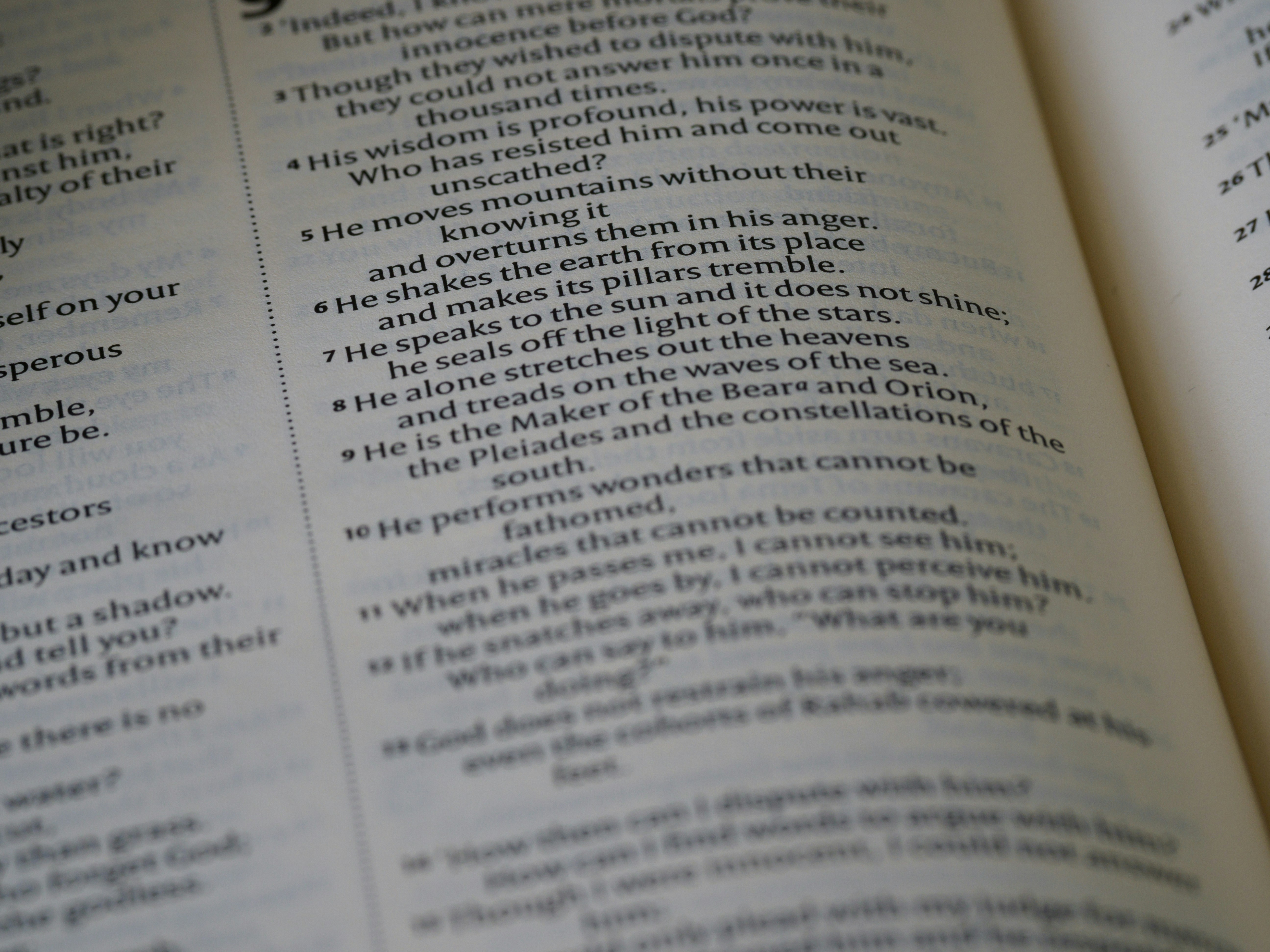 Photo by brett_jordan