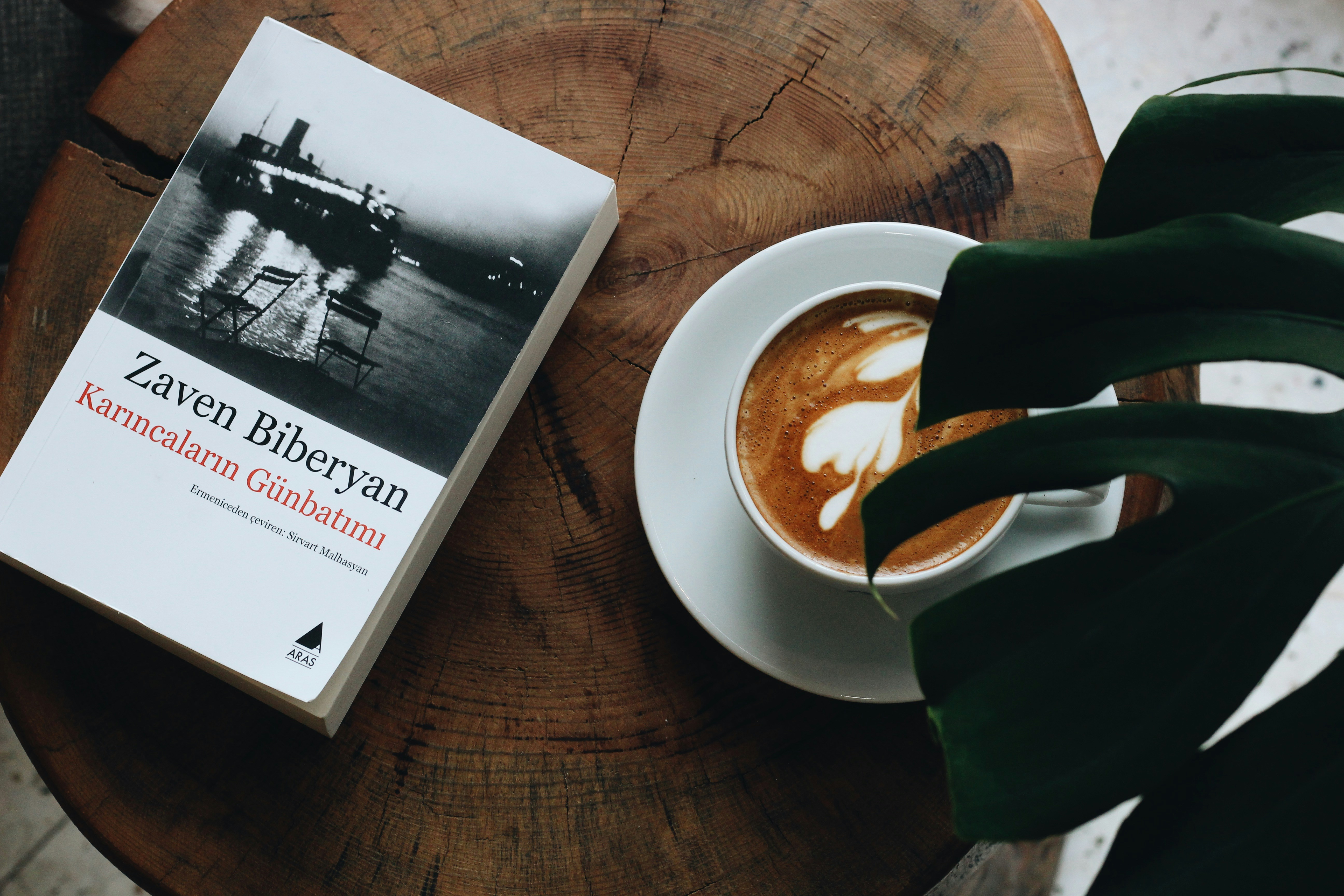 50 Haunting Frankenstein Book Quotes That Break Your Heart