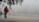 A person wearing a red jacket and jeans is walking on a foggy street, carrying a Portuguese flag. The scene is obscured by dense fog, with faint outlines of a large building and a fence in the background. There are a few other people in the distance.
