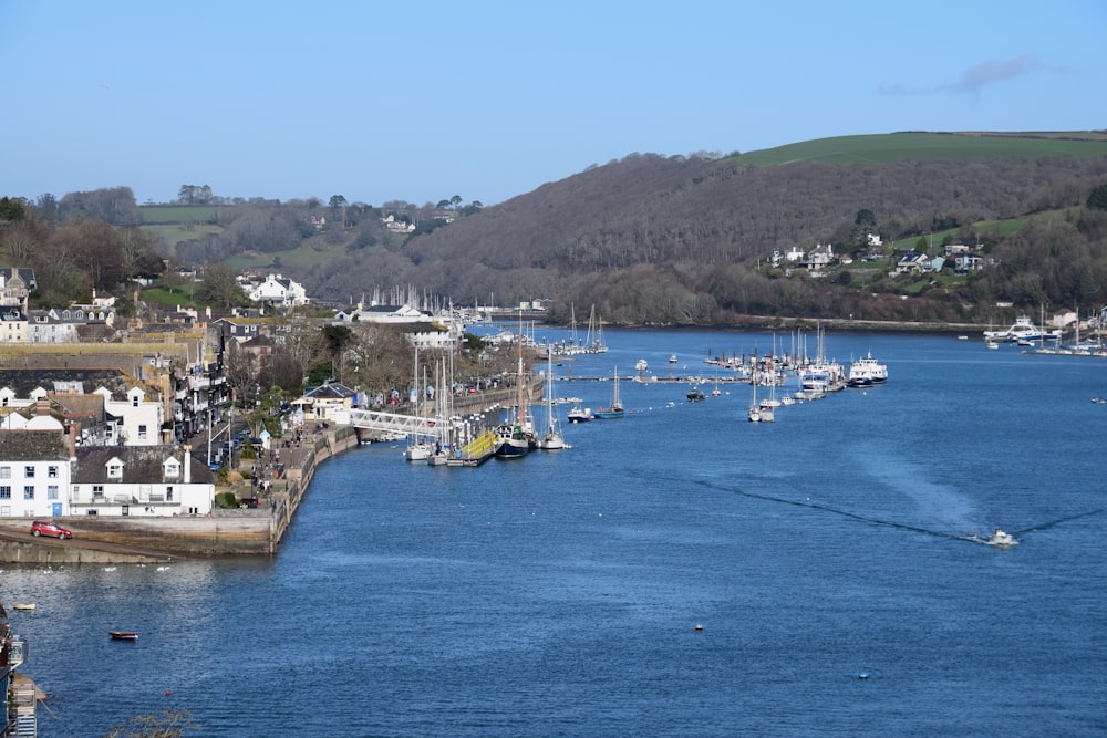 a body of water filled with lots of boats