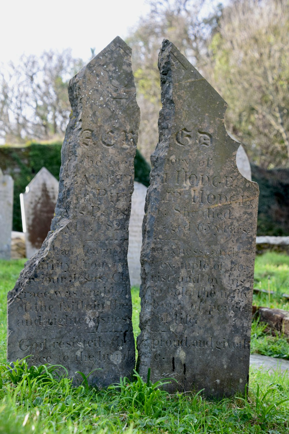 a couple of headstones sitting on top of a grass covered field