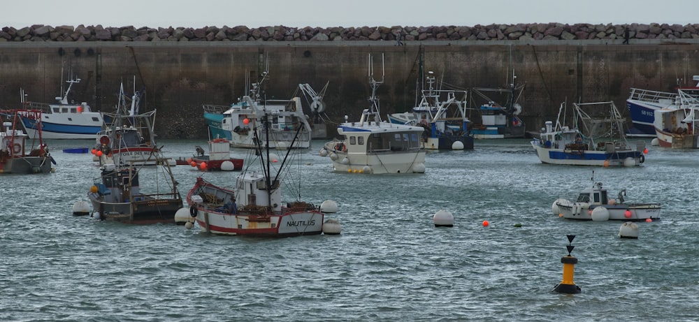 a bunch of boats that are in the water