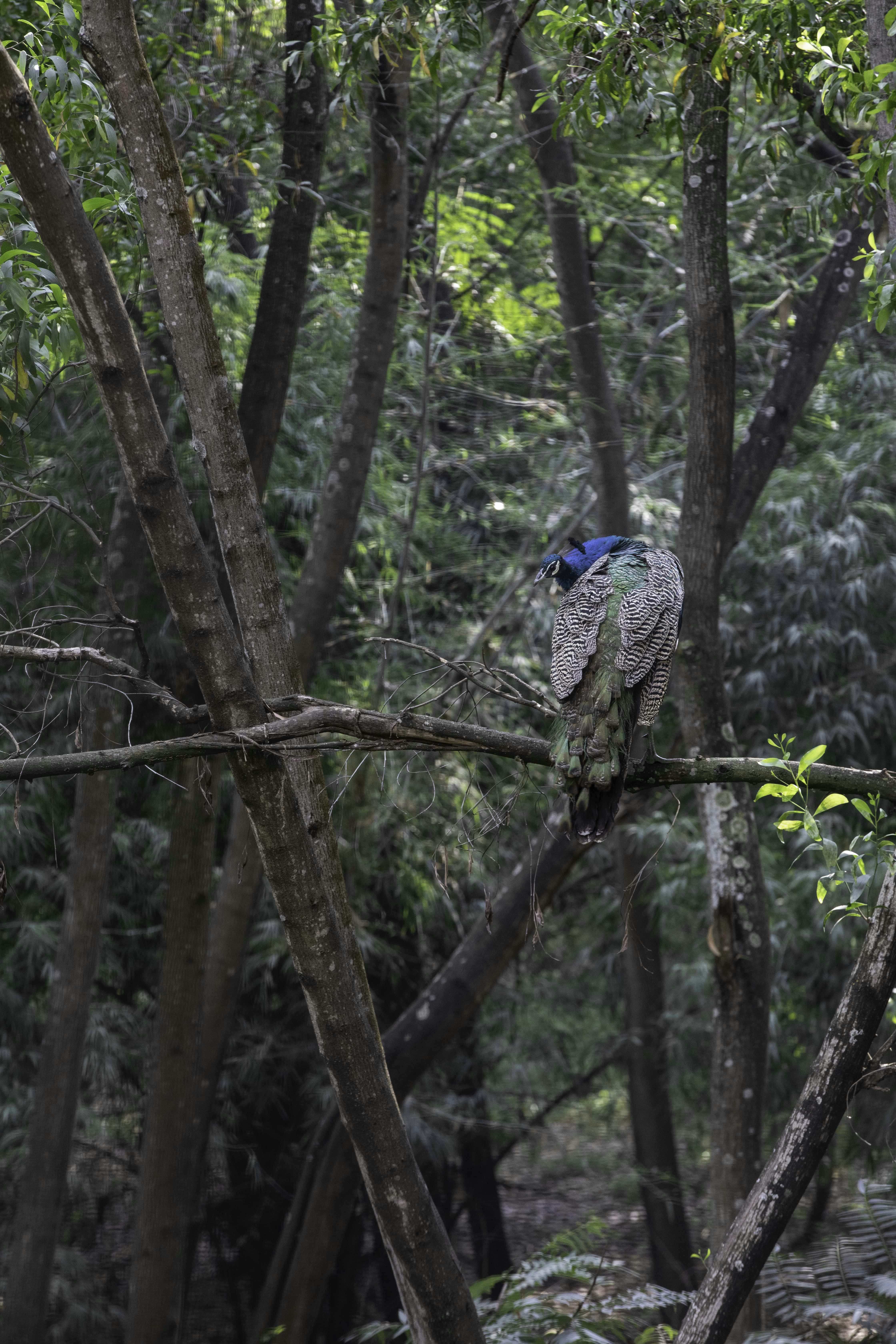 Photo by anil_sharma_india