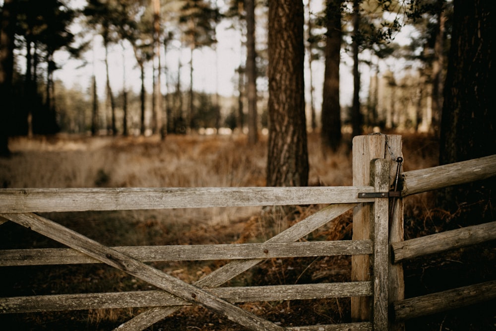 a wooden gate in the middle of a forest