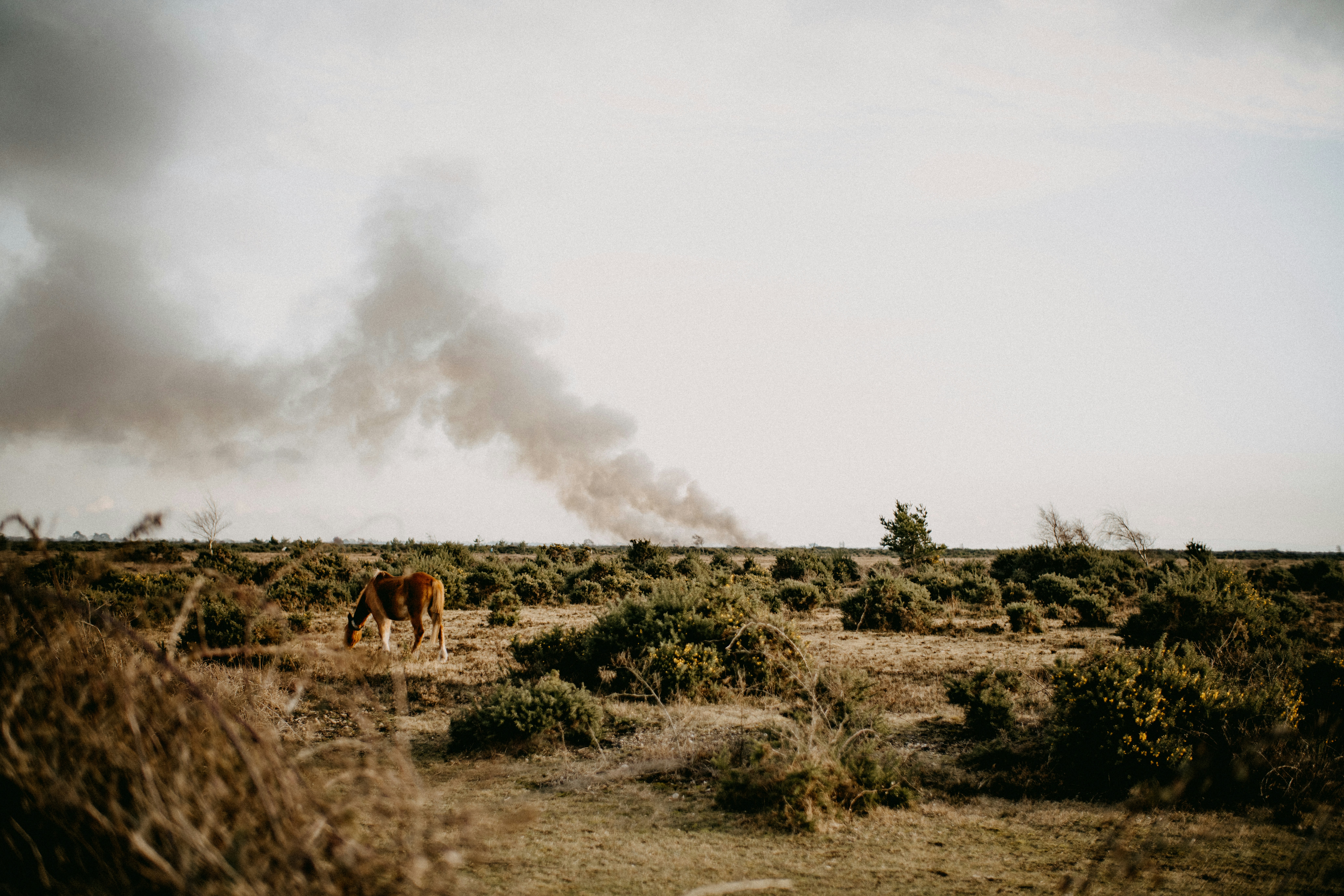 Photo by anniespratt