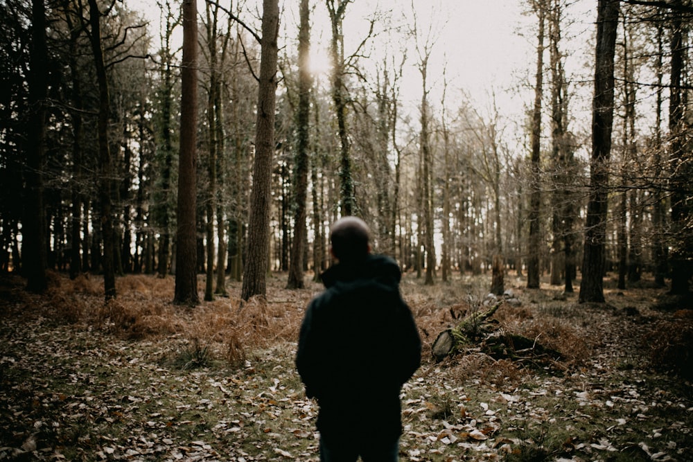 una persona in piedi in una foresta che guarda il terreno