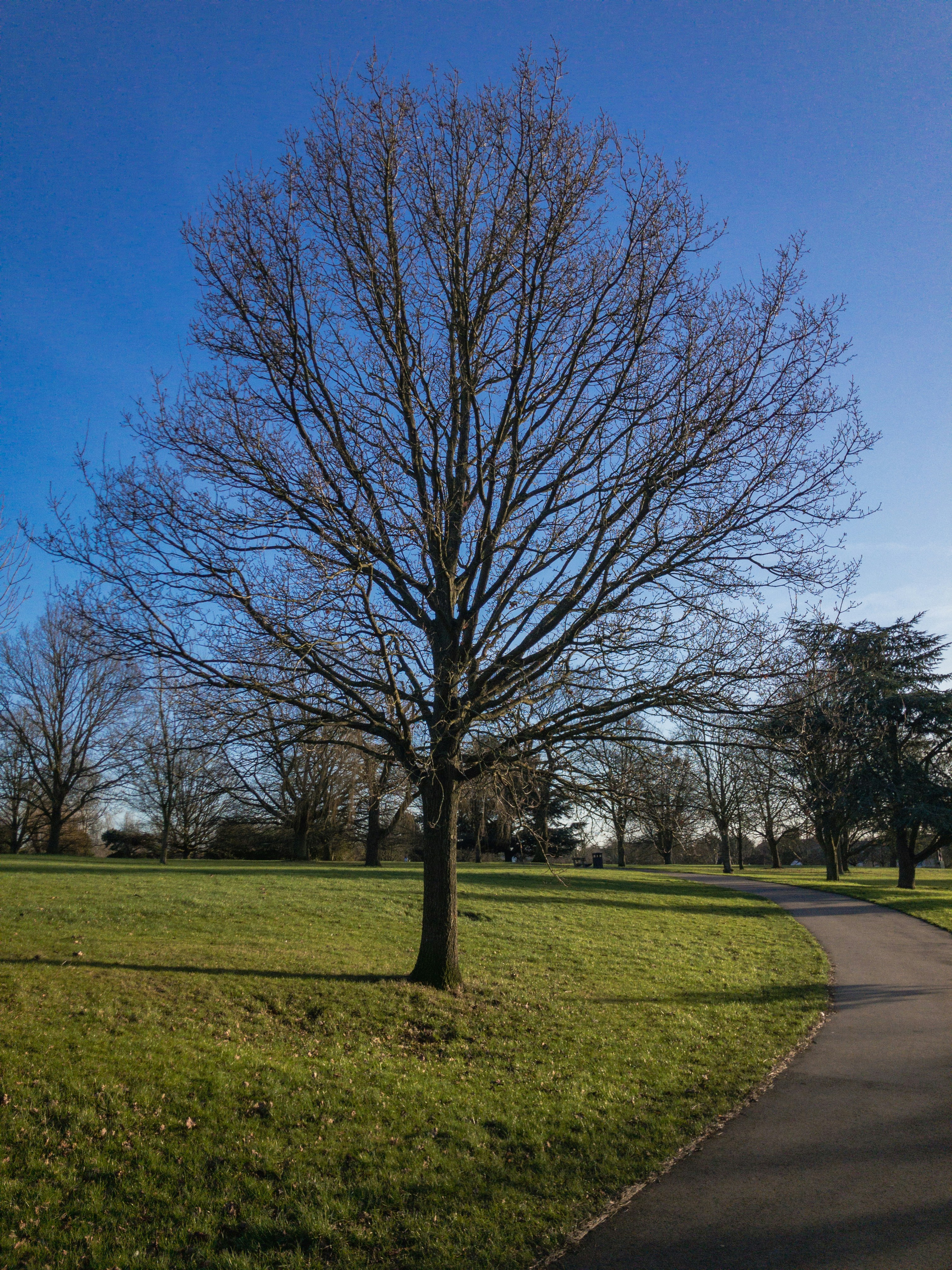 Photo by brett_jordan