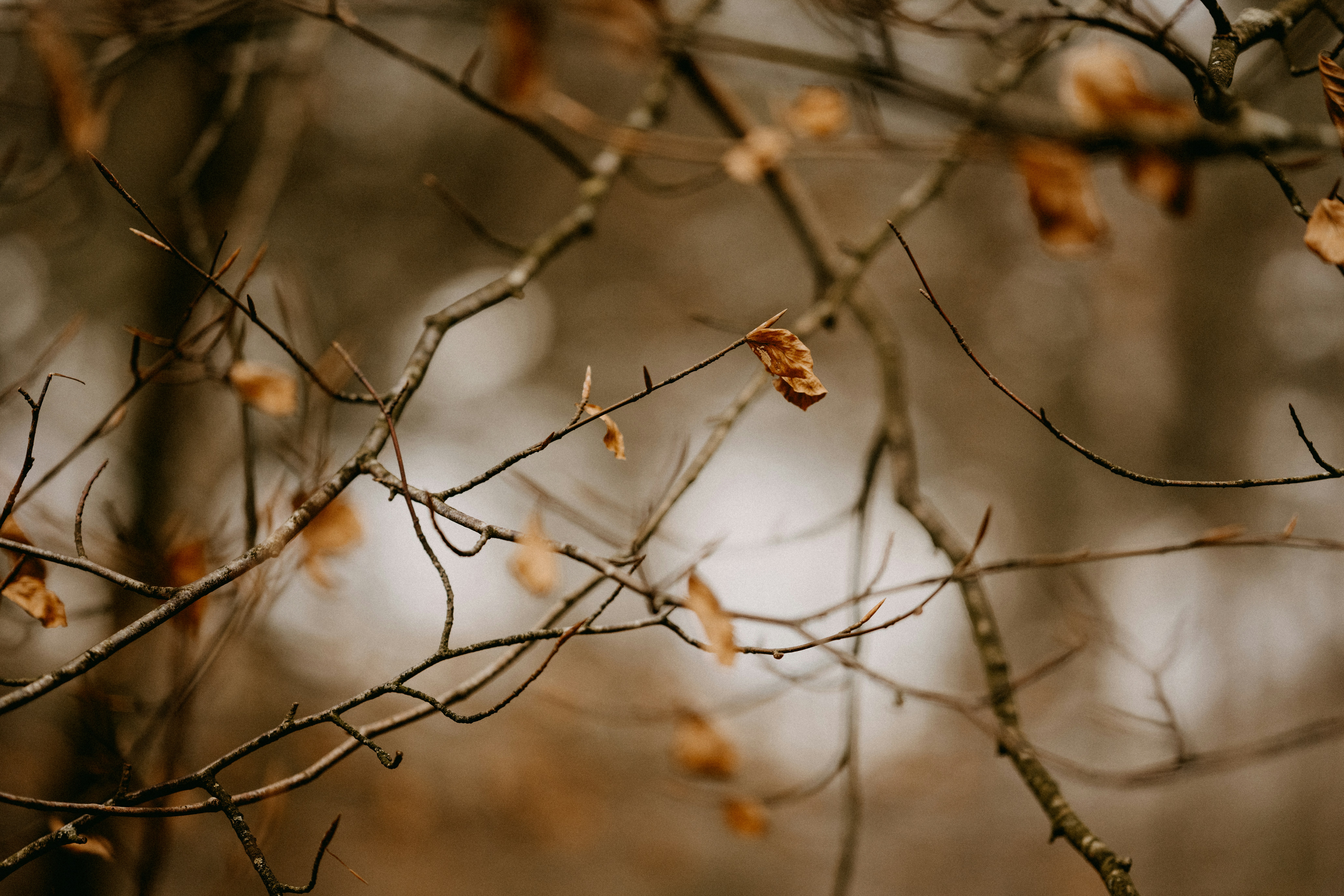 Photo by anniespratt