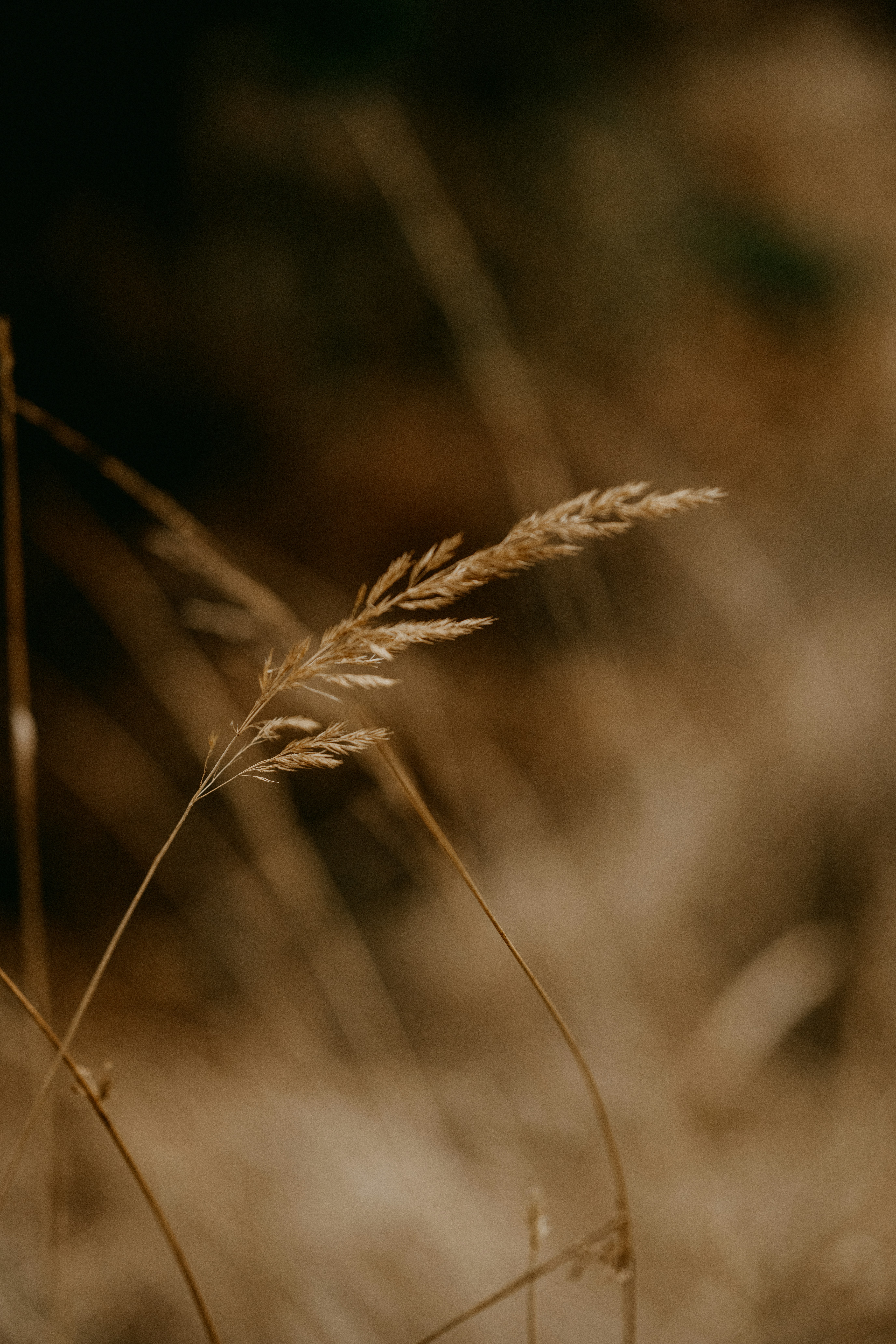 Photo by anniespratt