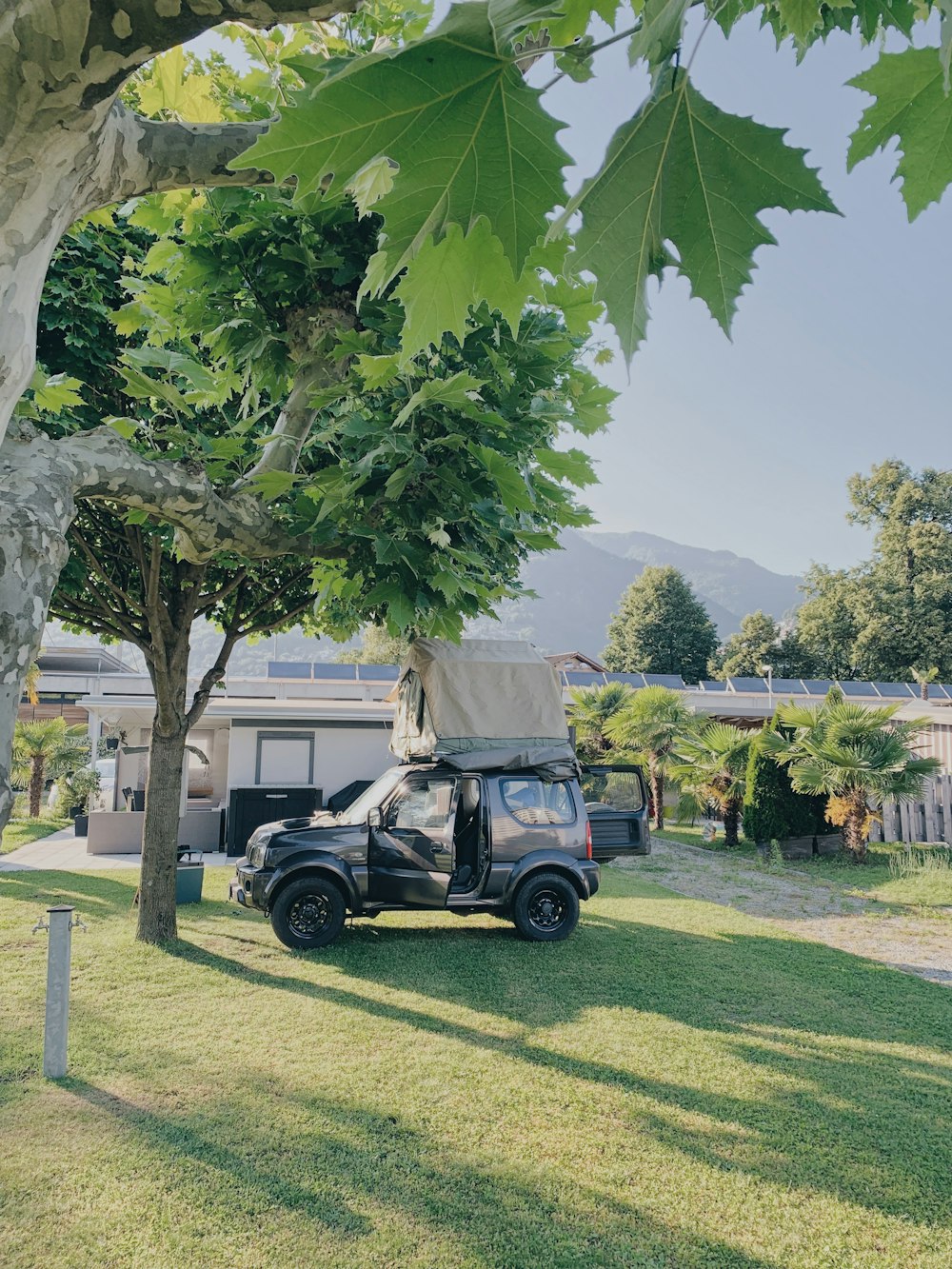 a truck parked in the grass under a tree