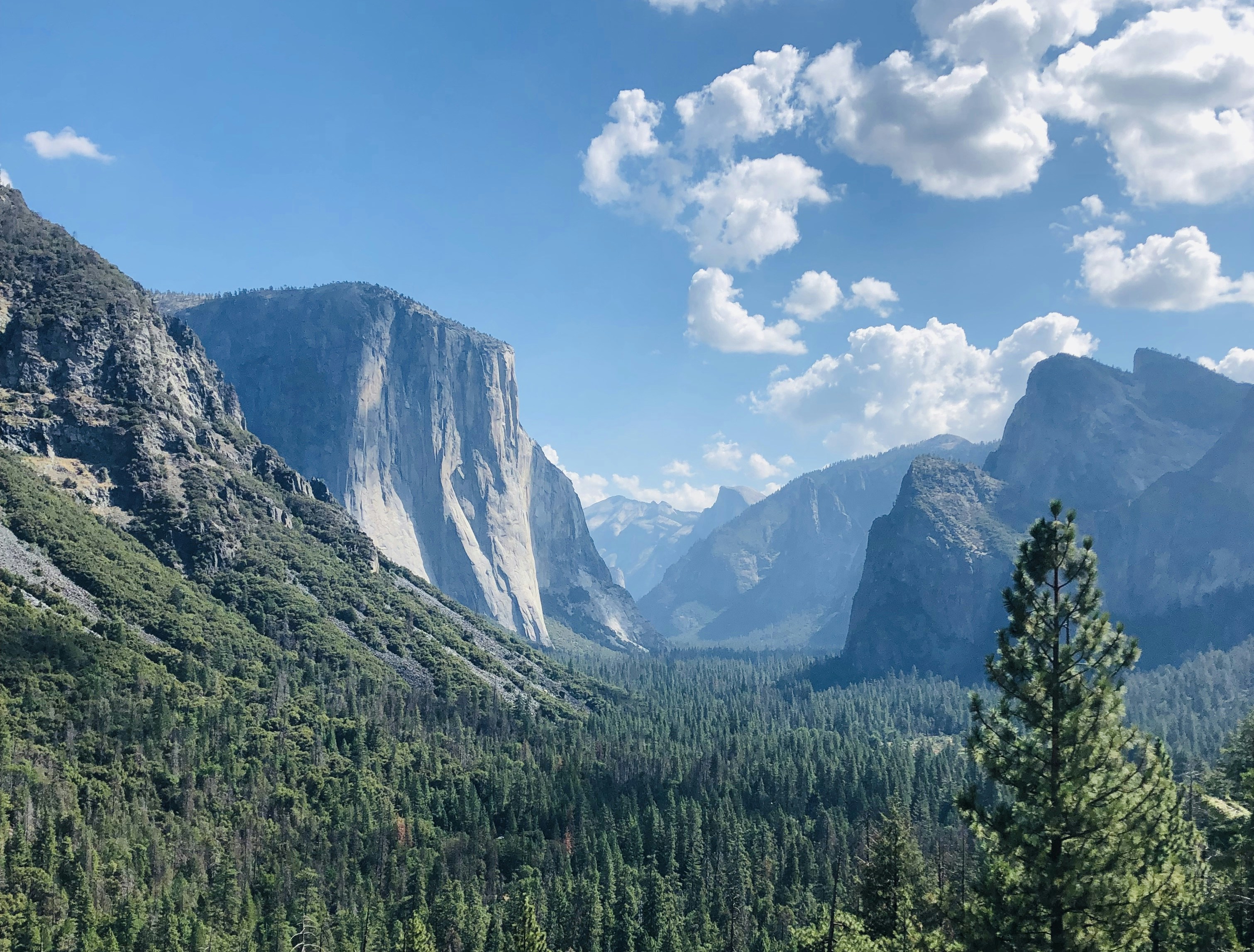 Photo by jonmarkhaley