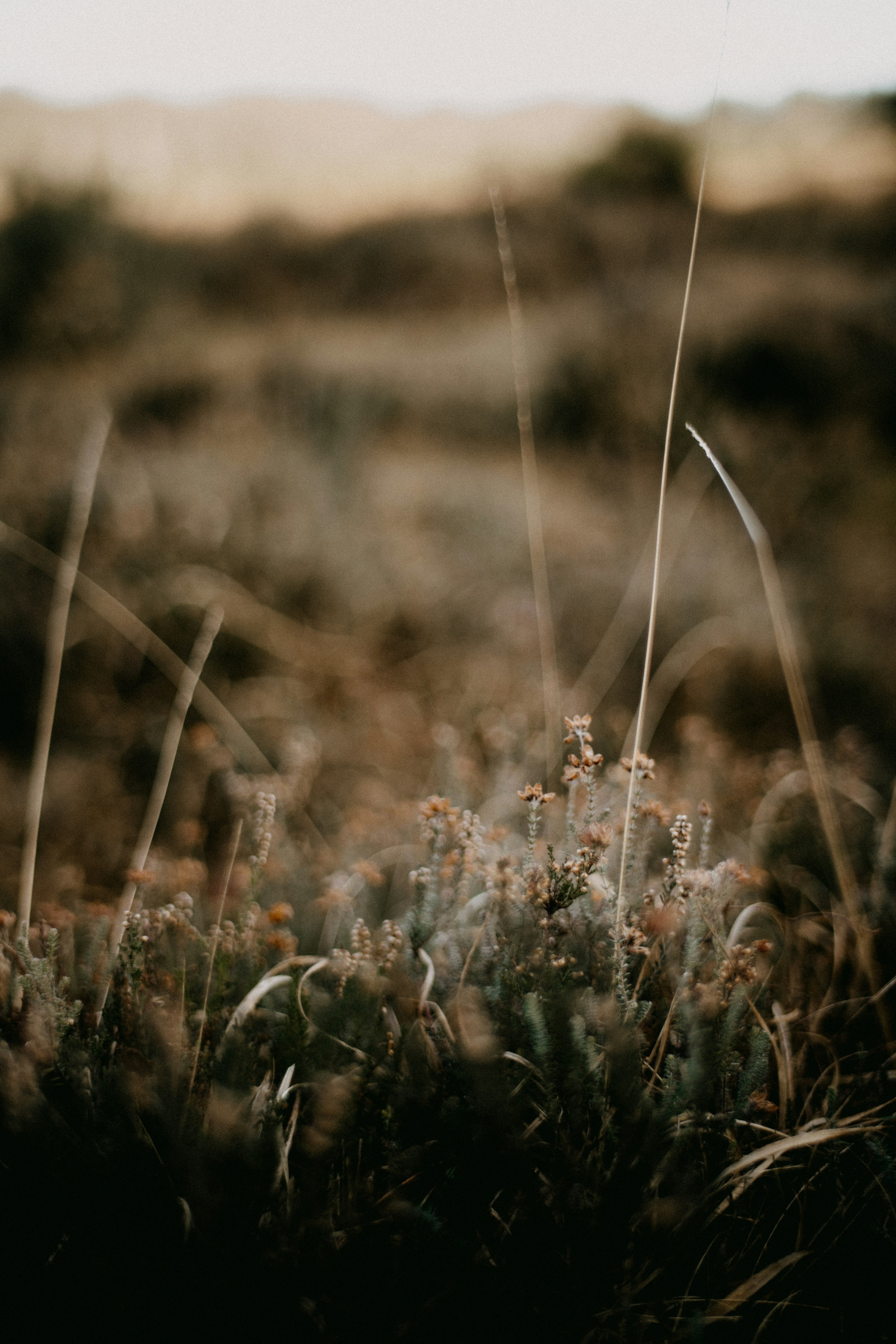 Photo by anniespratt