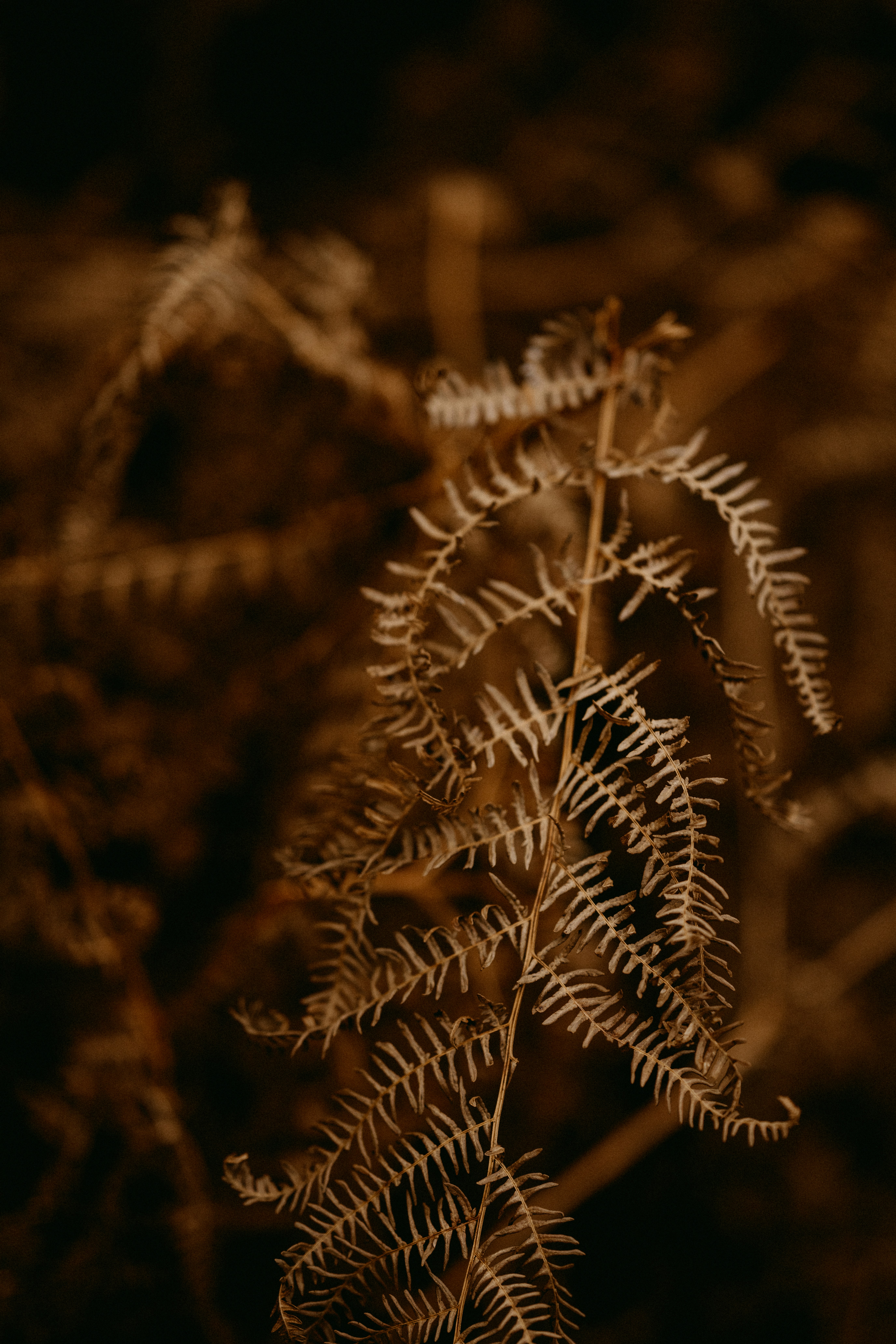 Photo by anniespratt