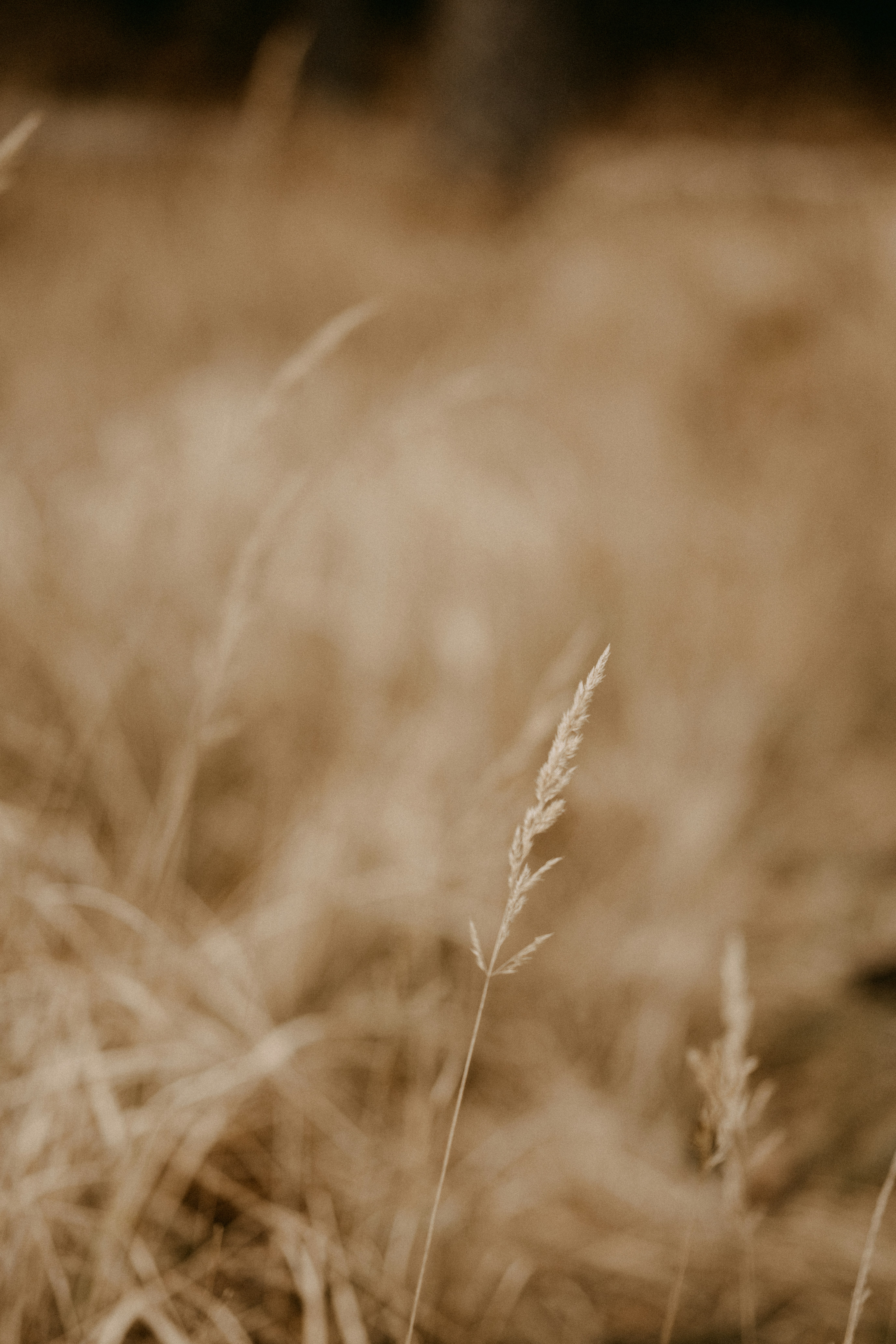 Photo by anniespratt