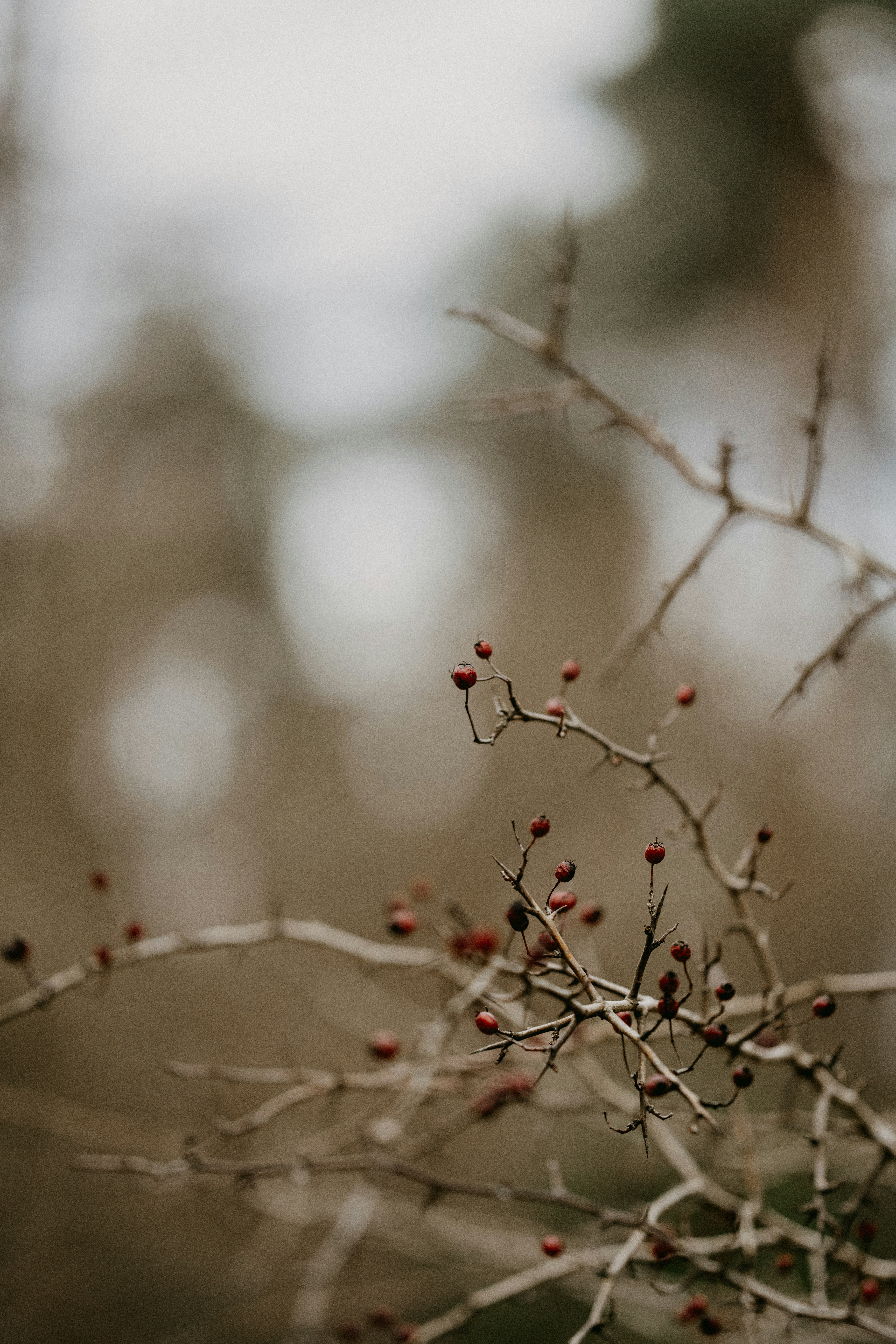 Photo by anniespratt