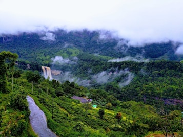 A lush green landscape with a prominent waterfall cascading down a cliff surrounded by dense forest. The hills are enveloped in mist and clouds, creating a serene and mystical atmosphere. A narrow road winds through the greenery, leading to a small building with a green roof nestled among the trees.
