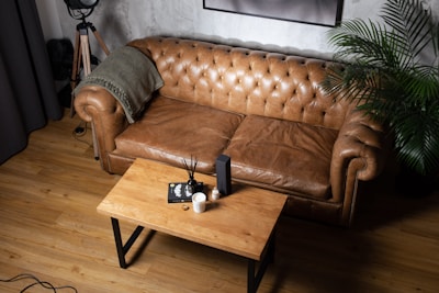 A cozy living room setting features a brown leather tufted sofa with a green throw blanket draped over one arm. In front of the sofa is a wooden coffee table with a candle, a book, and a reed diffuser placed on top. A tall potted plant adds a touch of greenery to the right side of the scene, and a tripod floor lamp stands in the corner, contributing to the room's warm and inviting atmosphere.