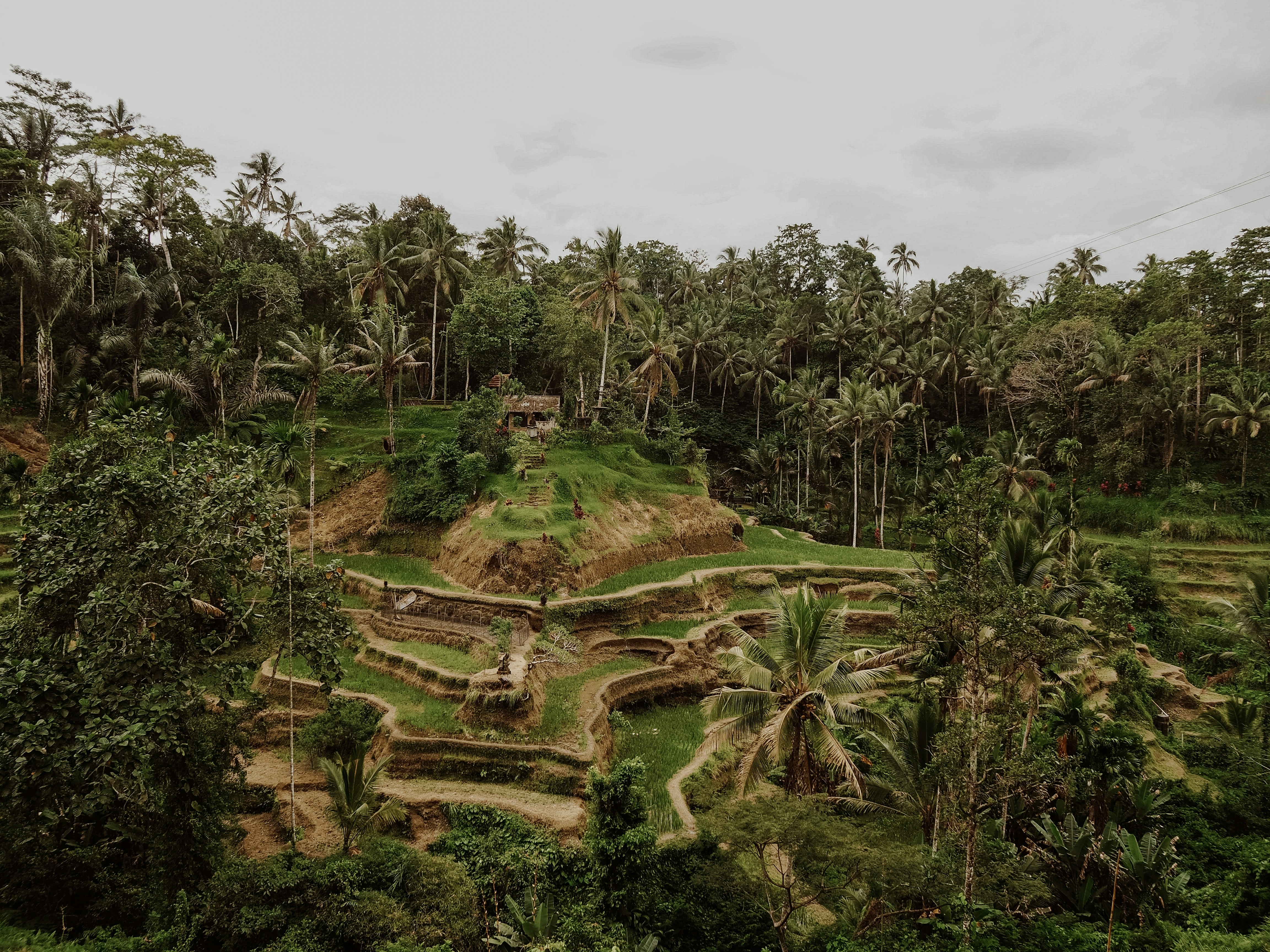 Magical Bali Experience