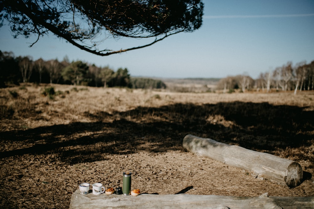 a picnic table set up in the middle of a field