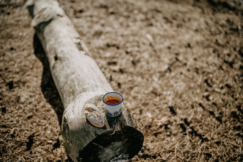 um pedaço de madeira com uma lata de cerveja sobre ele