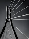 a black and white photo of the top of a bridge
