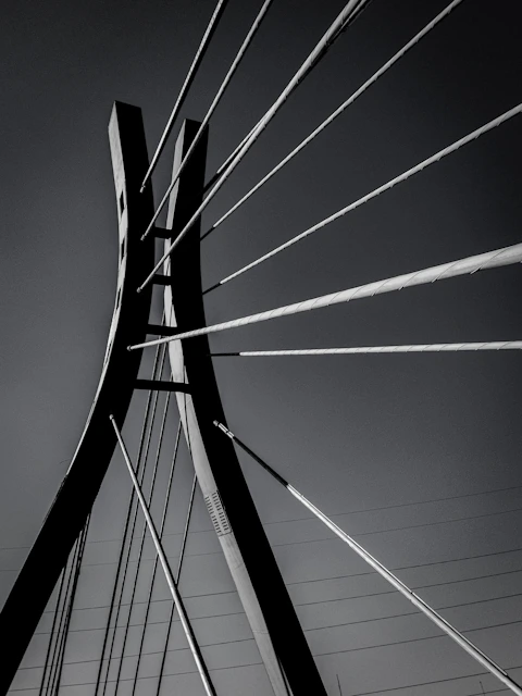 a black and white photo of the top of a bridge