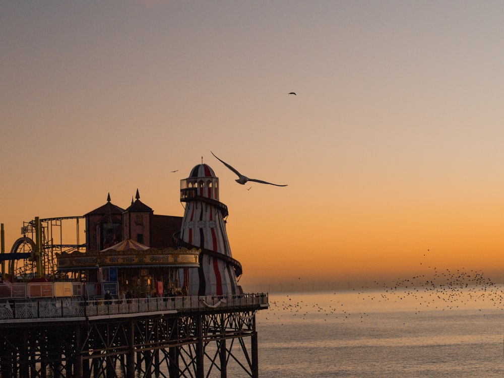 a bird flying over a pier at sunset