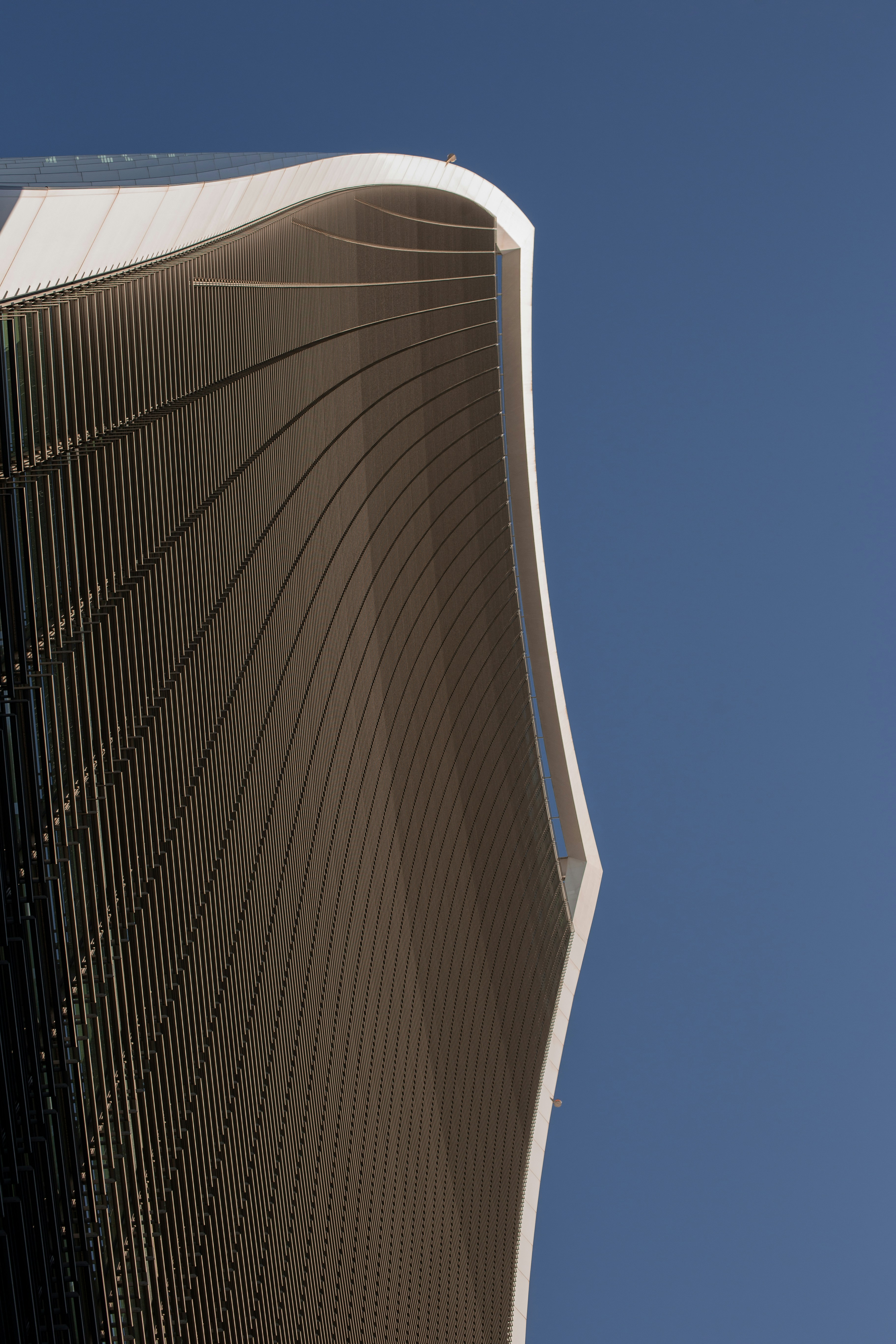 Photo by carolineveronez