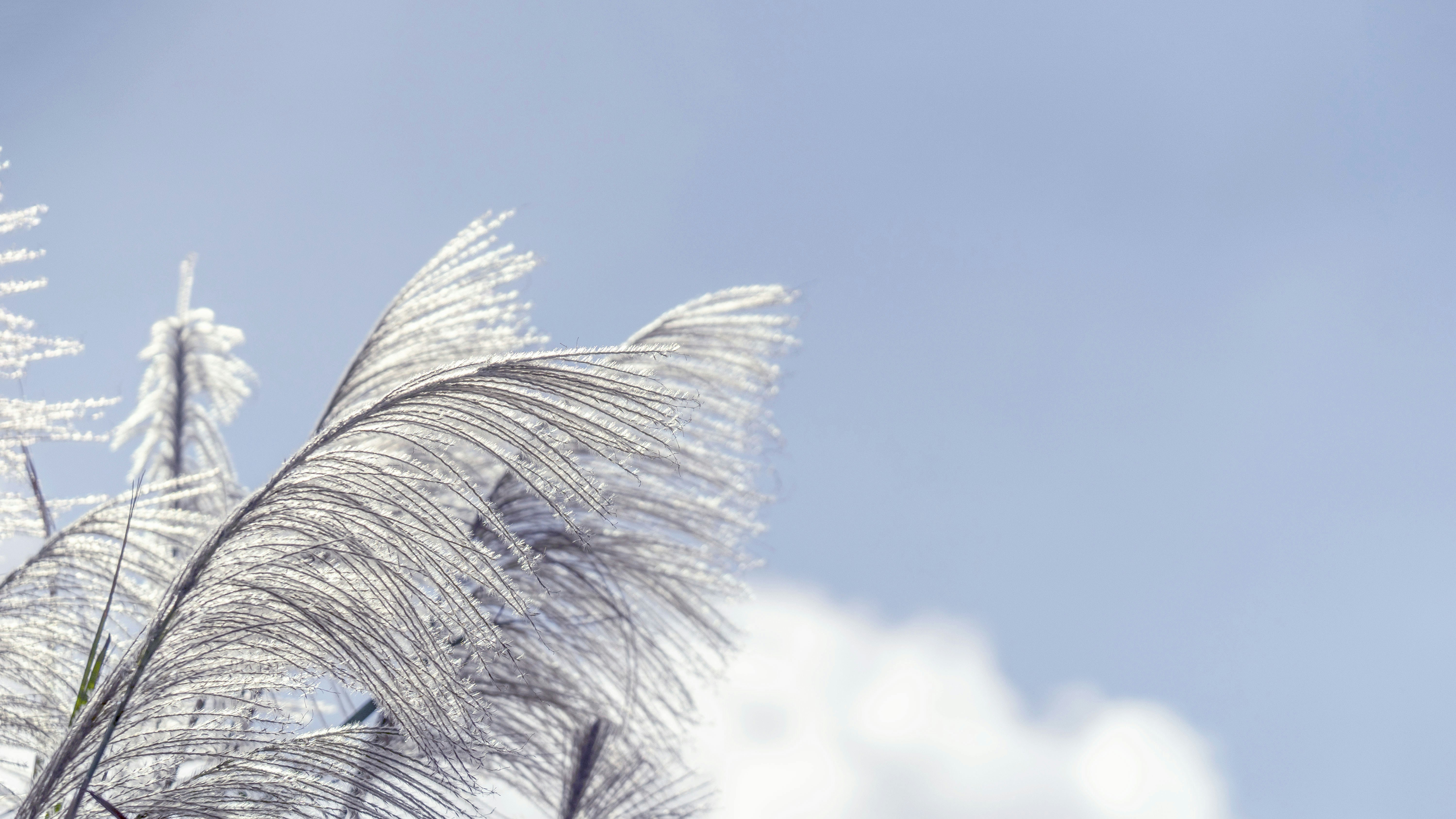 Investment Opportunities