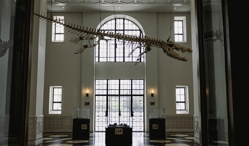 a dinosaur skeleton hanging from the ceiling of a building