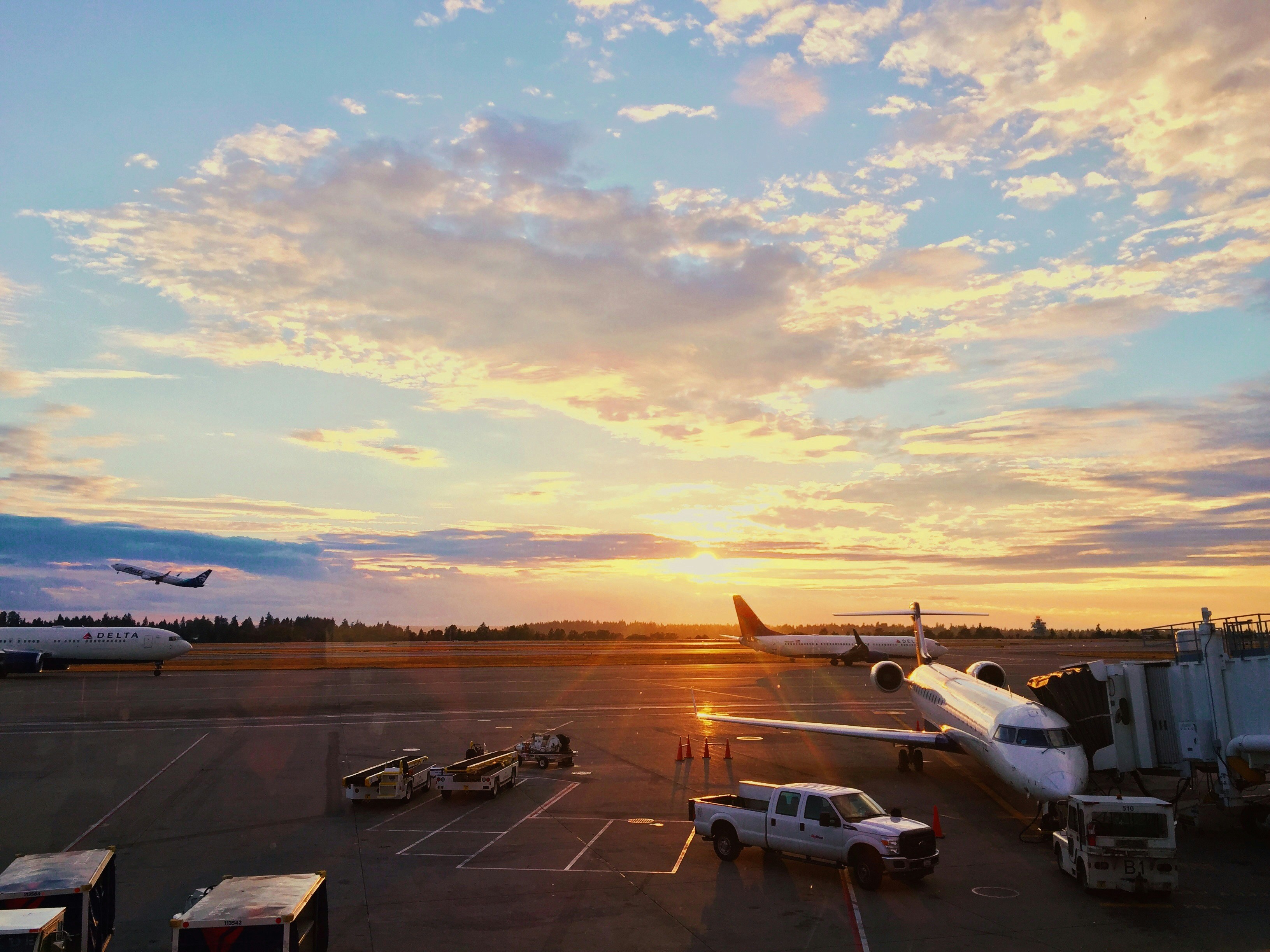 Book Your Flight