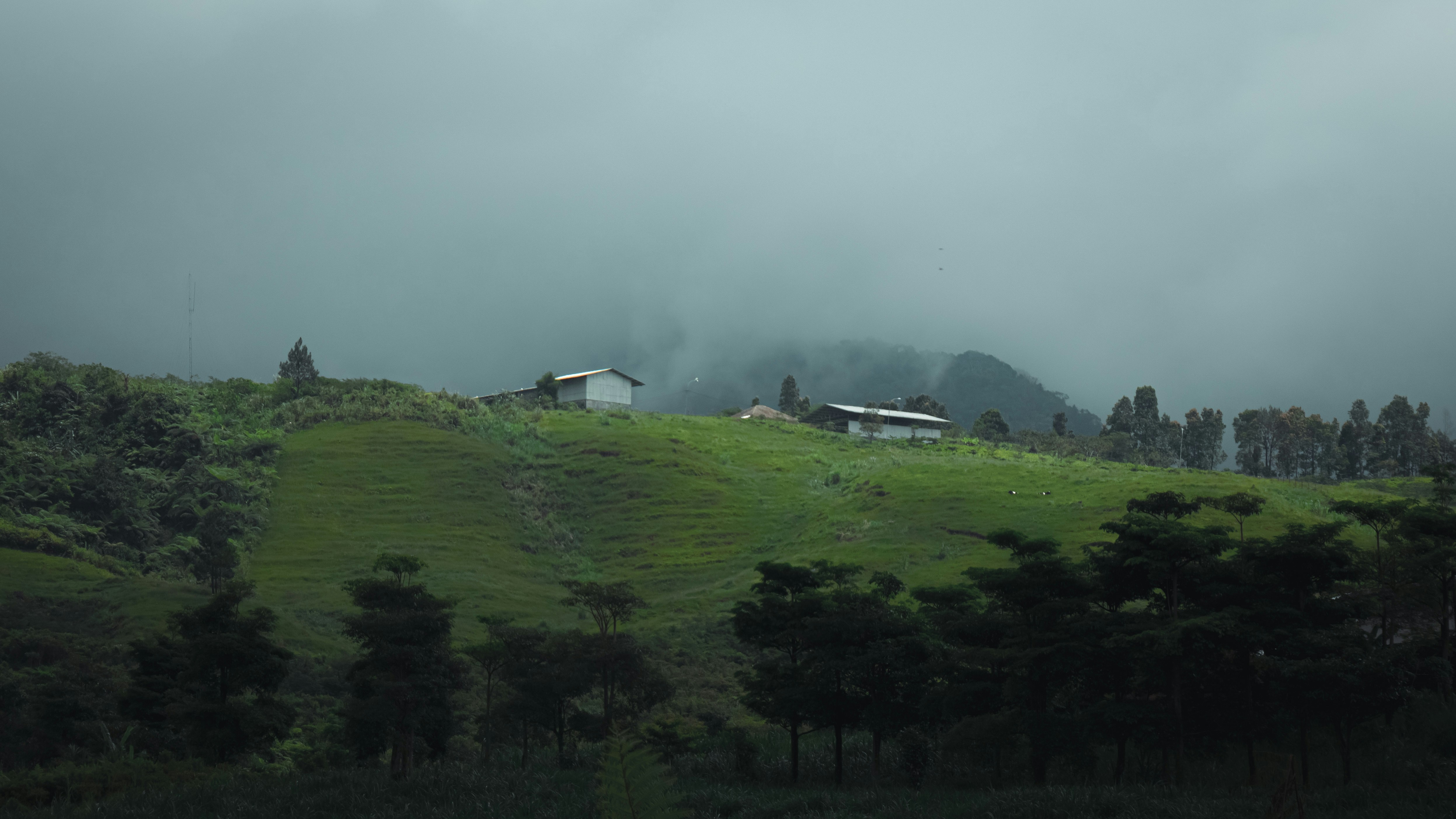 Uttarakhand Mountain Farm
