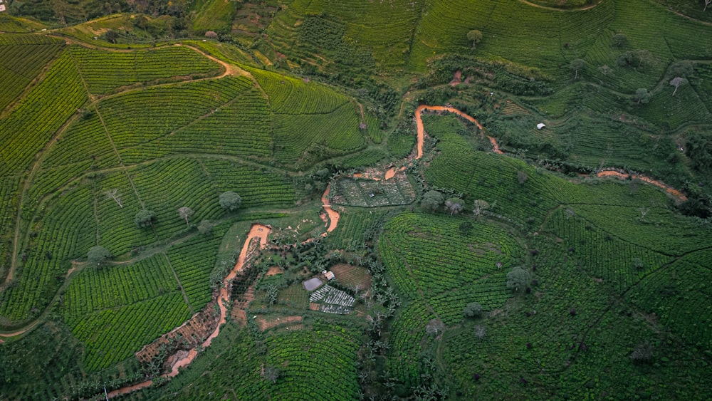 an aerial view of a lush green valley