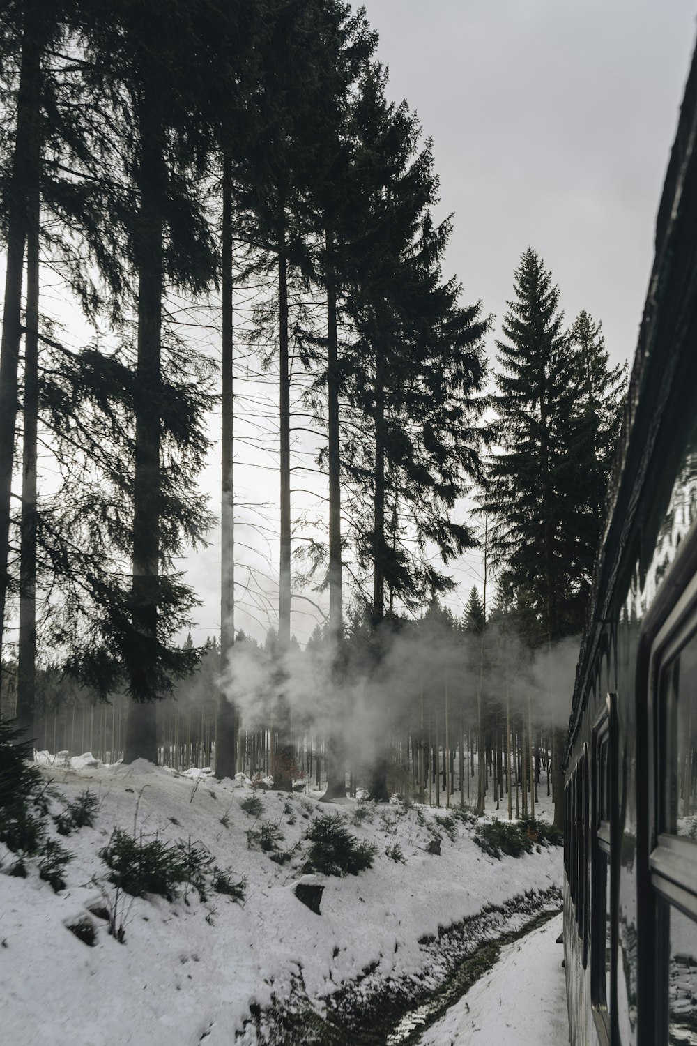 a train traveling through a forest covered in snow