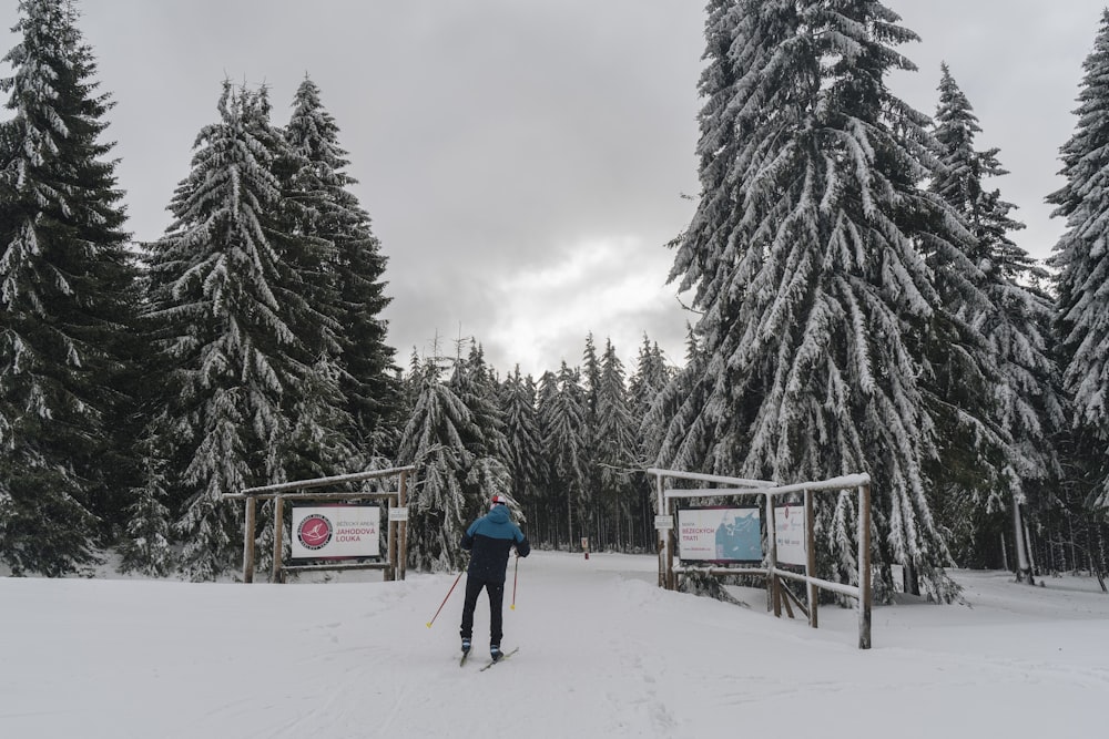 a person on skis standing in the snow