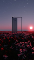 an open door in the middle of a field of flowers