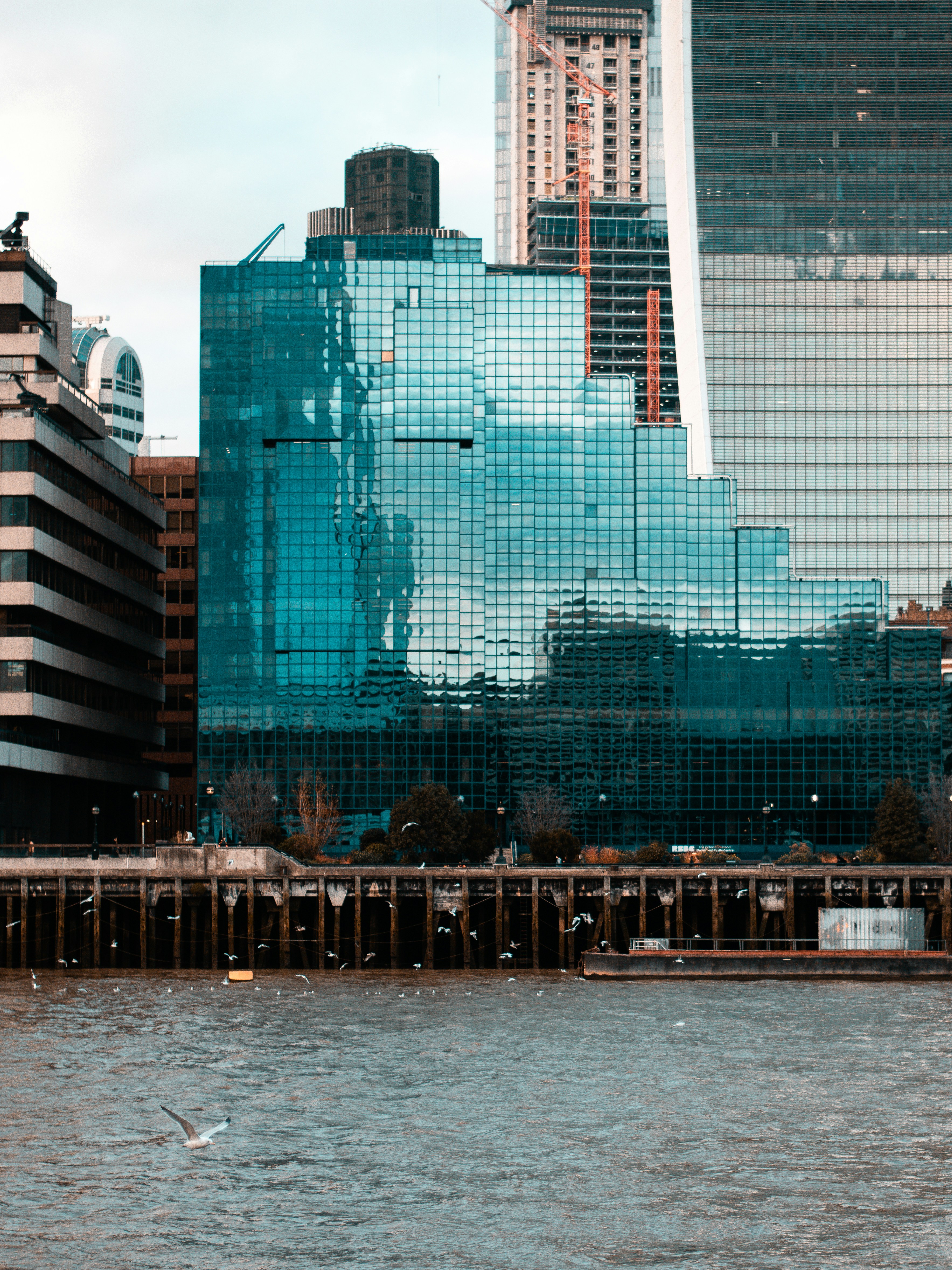 Photo by elliottmason