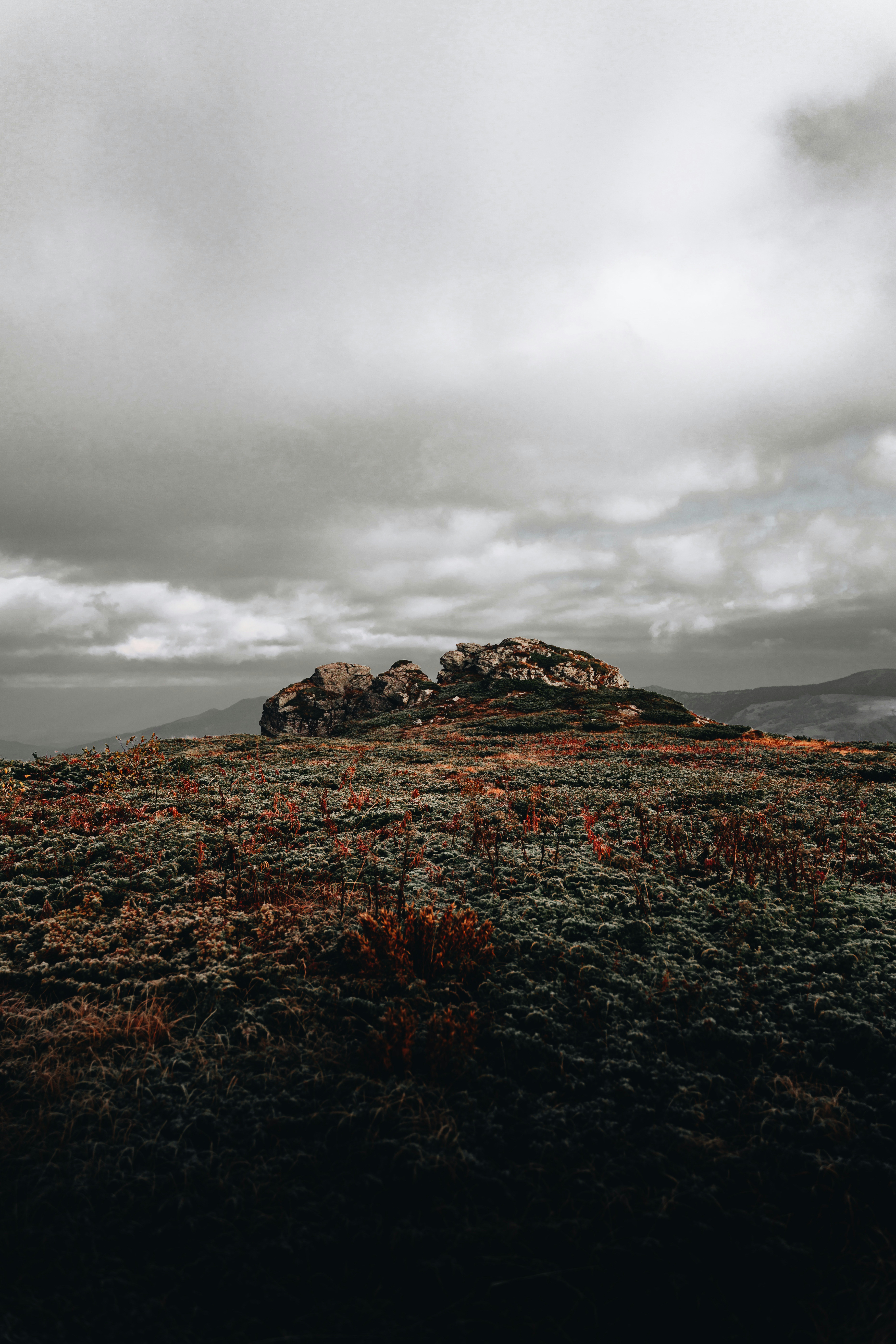 Photo by djordjevukojicic