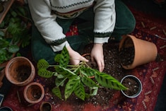 a woman kneeling down next to some plants