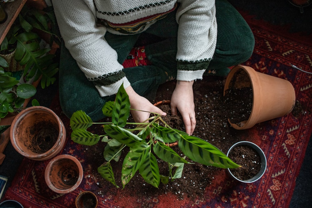 Una mujer arrodillada junto a unas plantas